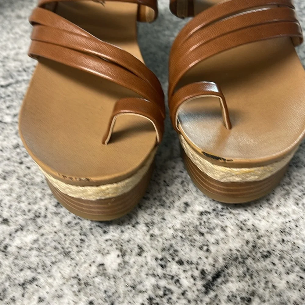 Woman’s Brown Strappy Platform Wedge Size 6 Sandals